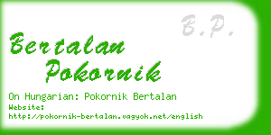 bertalan pokornik business card